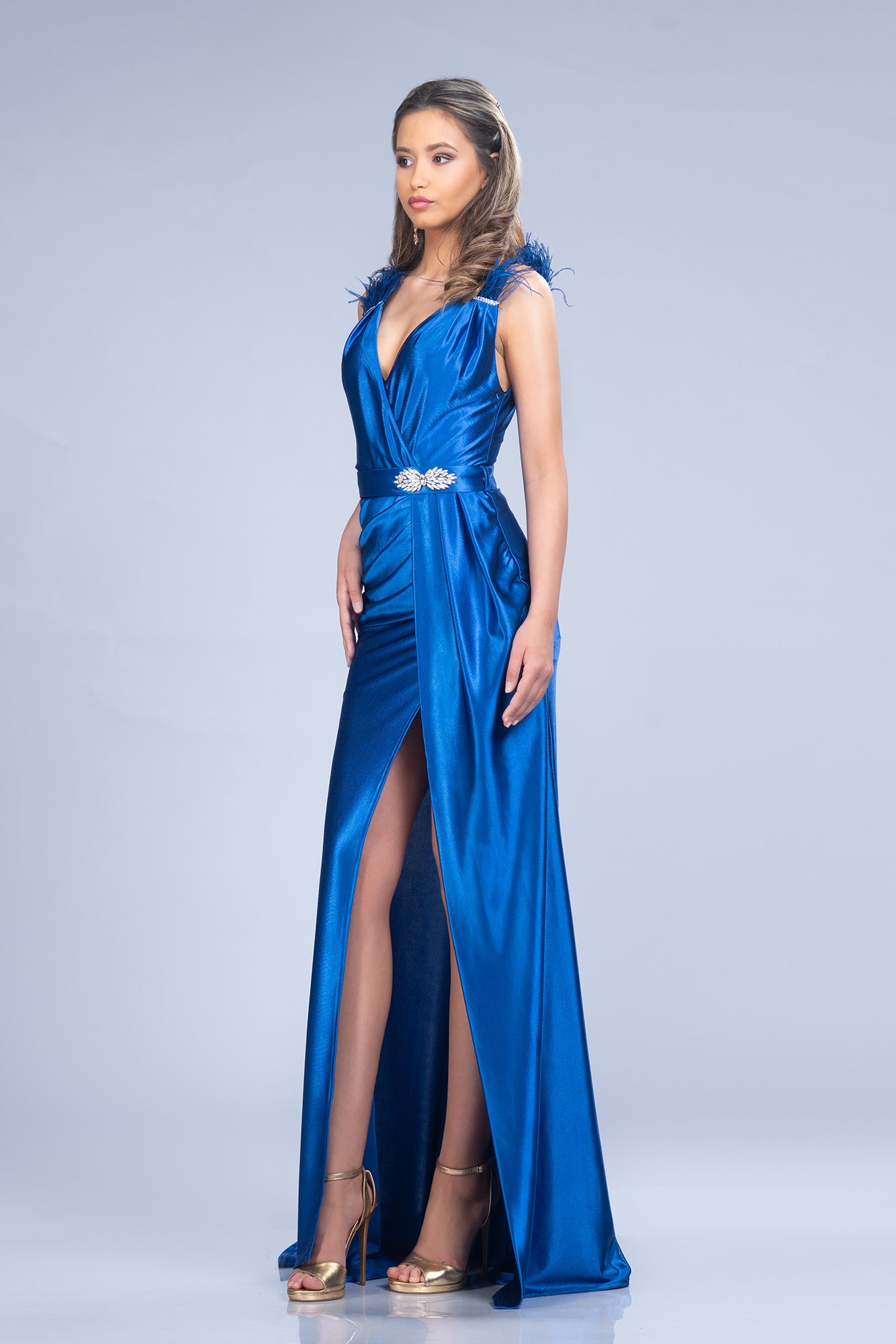 Royal Blue Elegant Long Dress