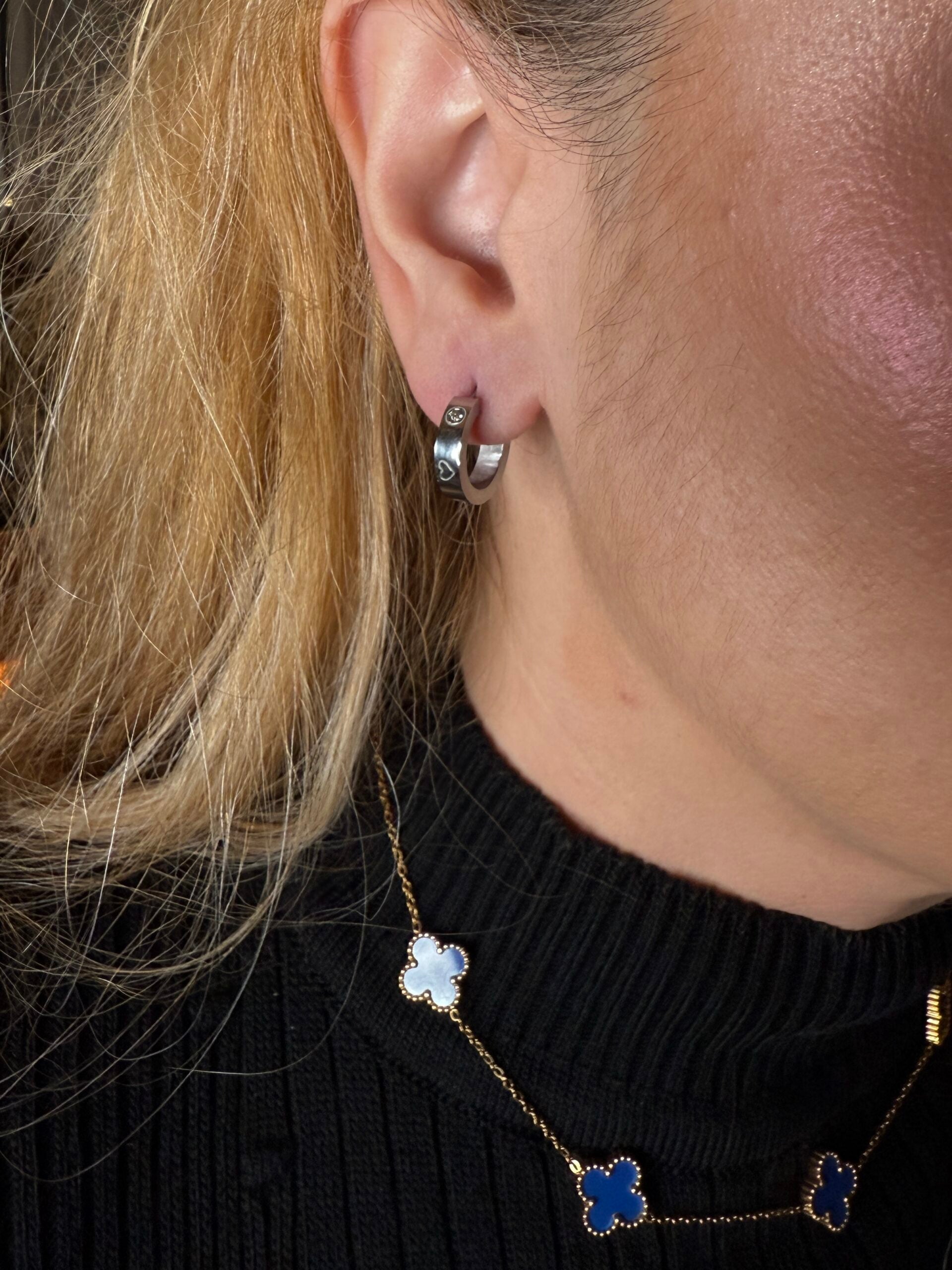 Stainless Steel Hearts Earrings