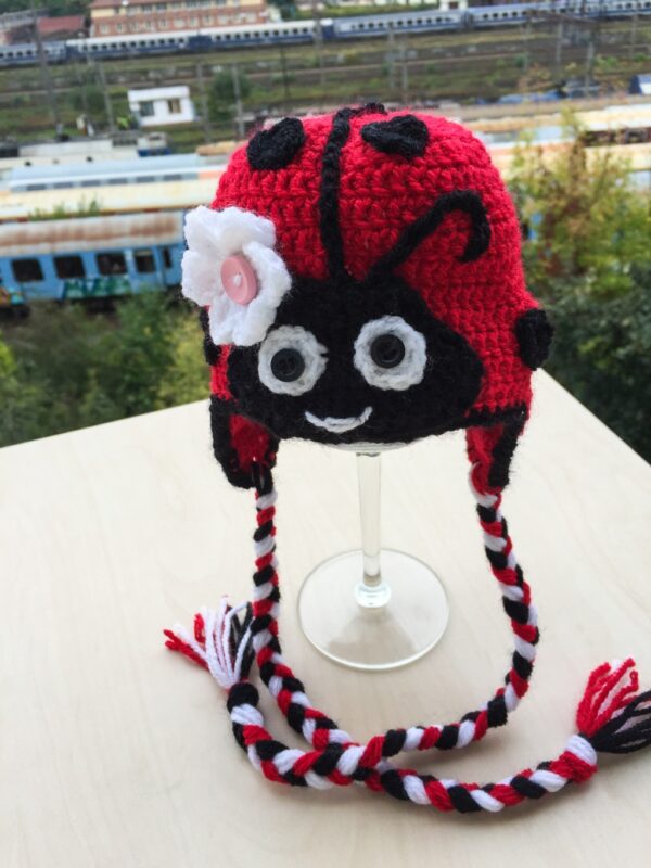 Ladybug Crochet Hat