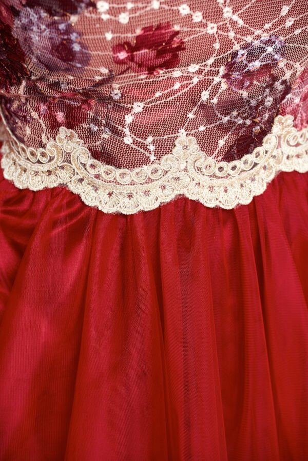 Occasional burgundy net dress embroidery details
